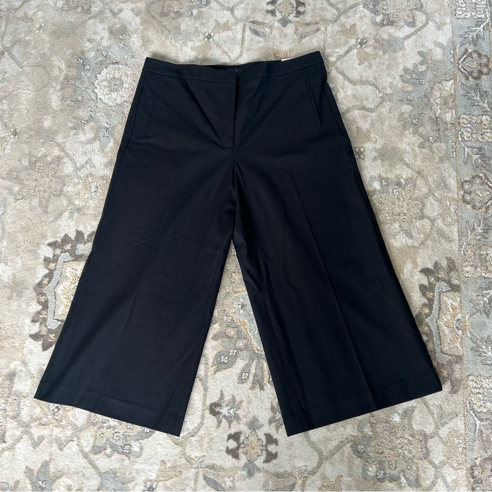 NWT Ann Taylor High rise “Mariana” pant